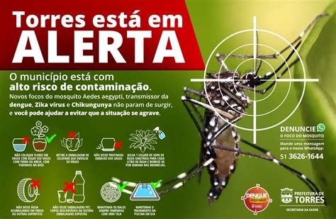 dengue no brasil ultimas noticias